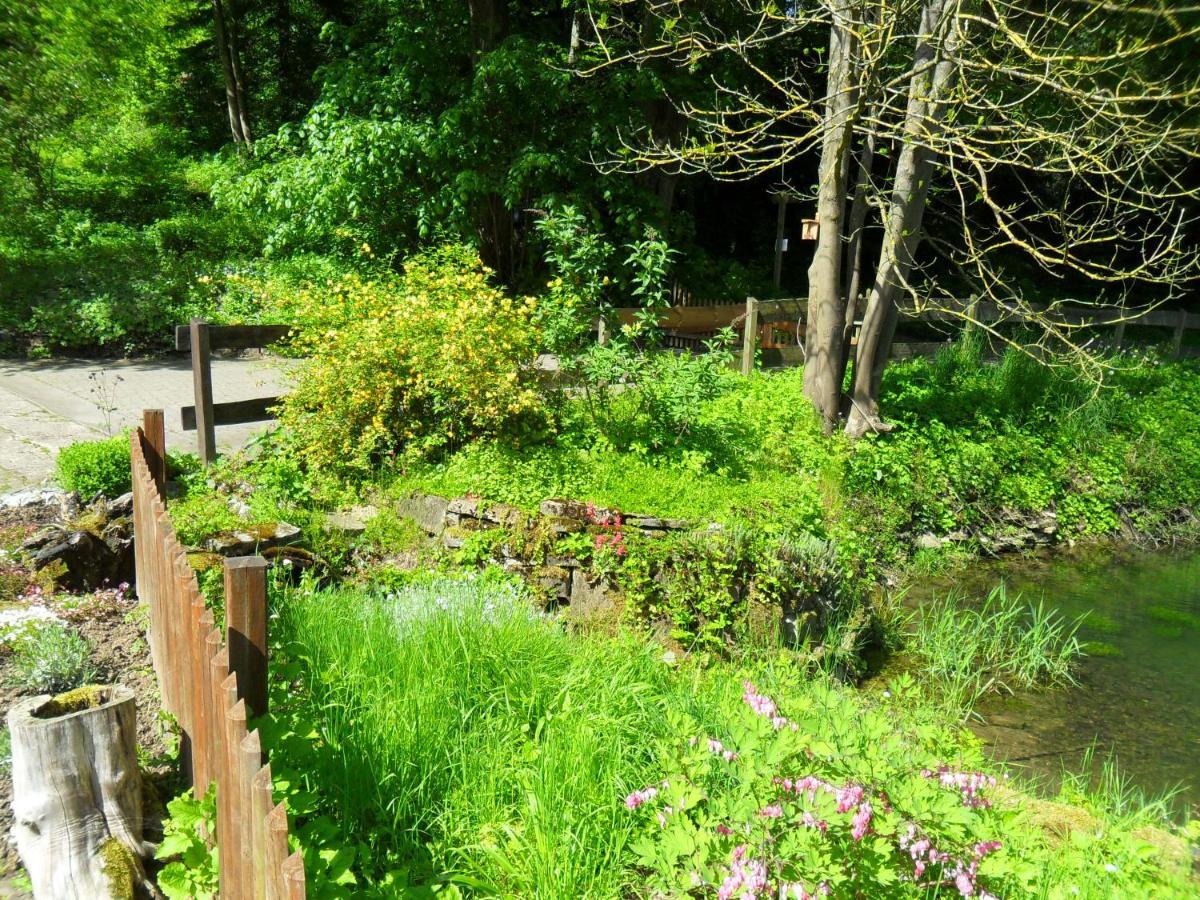 Hoellenmuehle Bed & Breakfast At The Mill Pond 헤지슈올덴도르프 외부 사진